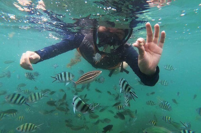 Bintan Snorkeling Tour