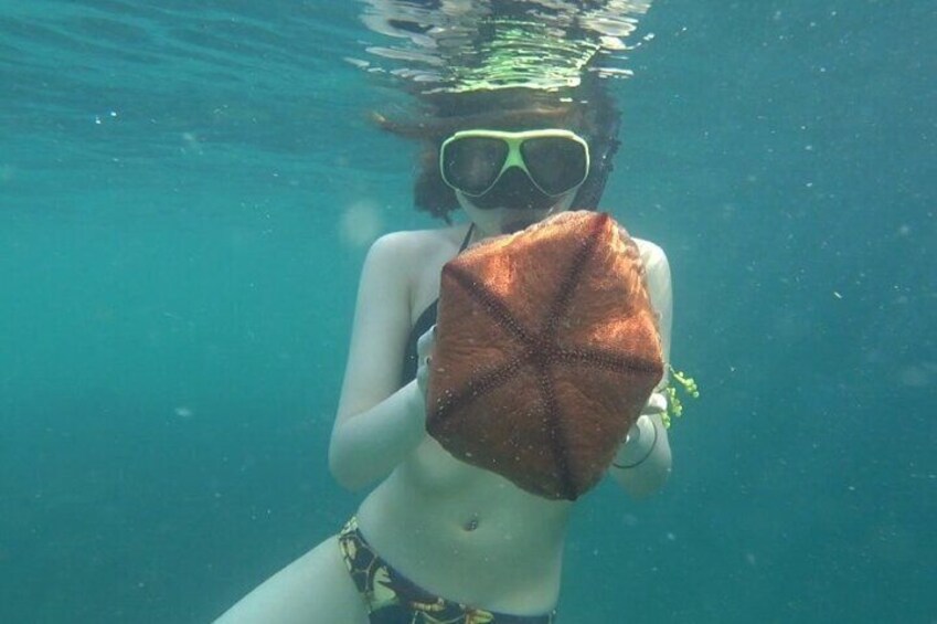 Bintan Snorkeling Tour