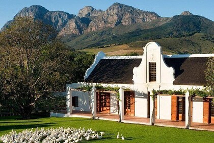 Tastes of Stellenbosch Wine Full Day Tour with Private Transfer