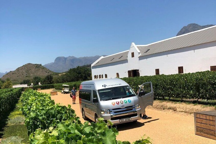 Full-Day Flavours of Stellenbosch Wine Pairing Private Tour from Cape Town