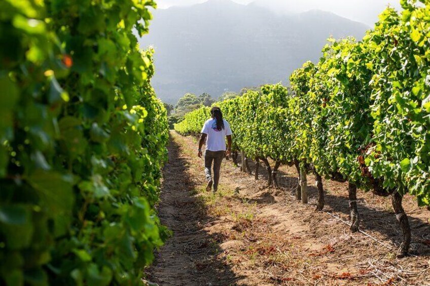 Wine Beer and Biltong Safari - Stellenbosch