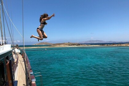 Mykonos: Combo Yacht Cruise to Rhenia and Guided Tour of Delos (free transf...