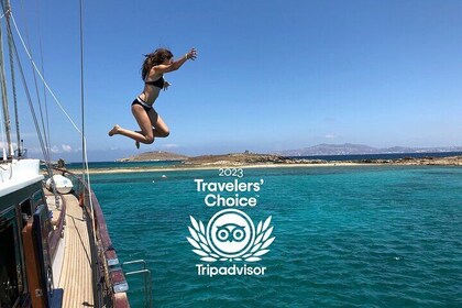 Mykonos : Croisière en yacht jusqu’à Rhenia en petit groupe et visite guidé...
