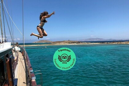 Mykonos: Combo Yacht Cruise til Rhenia og guidet tur til Delos (gratis tran...