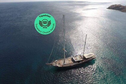 Mykonos: Superior-Kreuzfahrt zur Insel Rhenia und Führung durch Delos (kost...