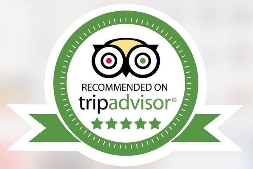 Check out our fantastic 5* reviews!