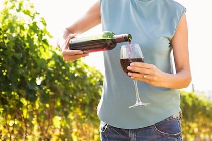 Vino Venture: Explore With A Local - Troodos Mountains thru Wine!