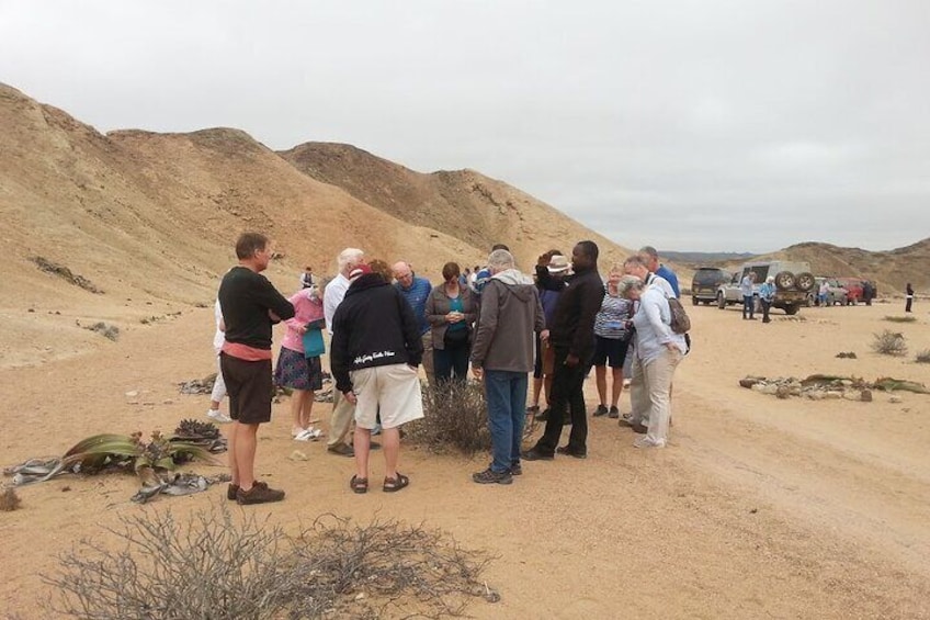Treasure of Namib Desert Adventure(Shores Excursion)