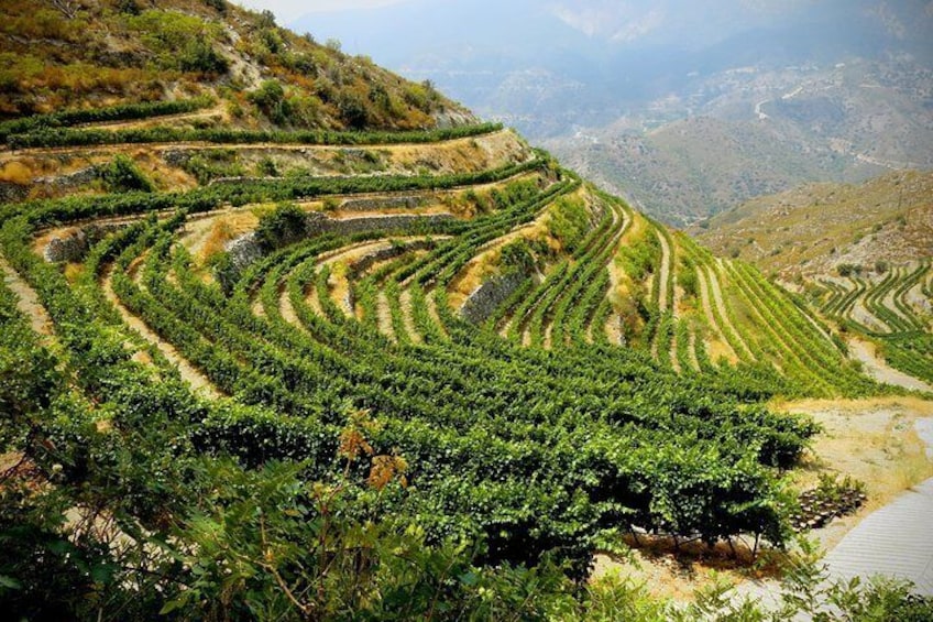 Enjoy a scenic drive through the Troodos Mountains