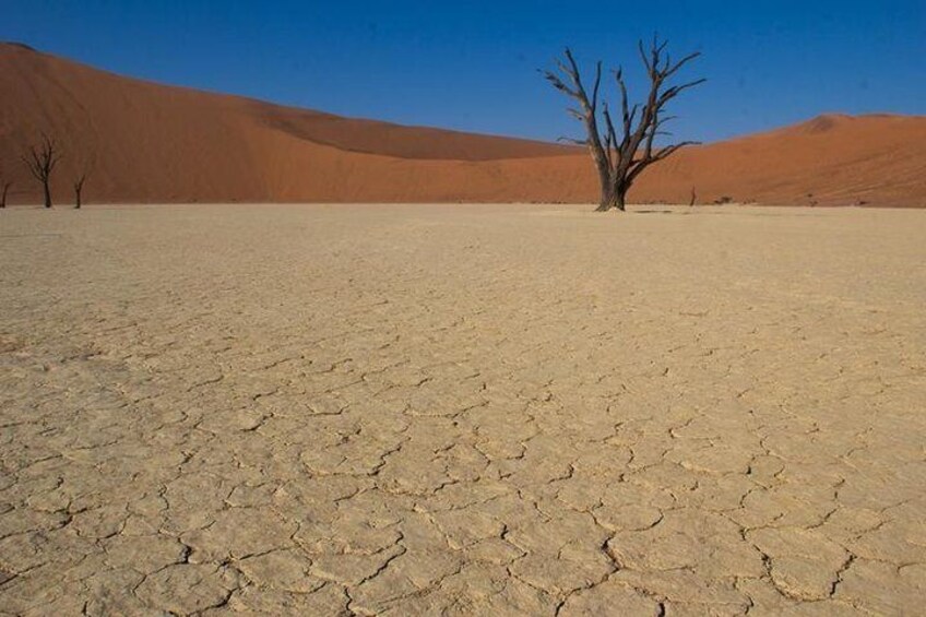 Deadvlei