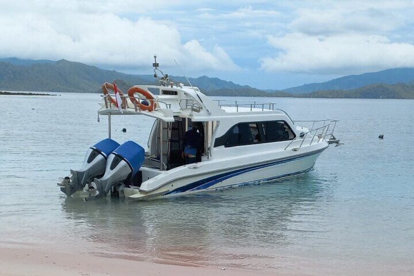 1 Day Komodo Trip By Luxury Fast Boat Join Group