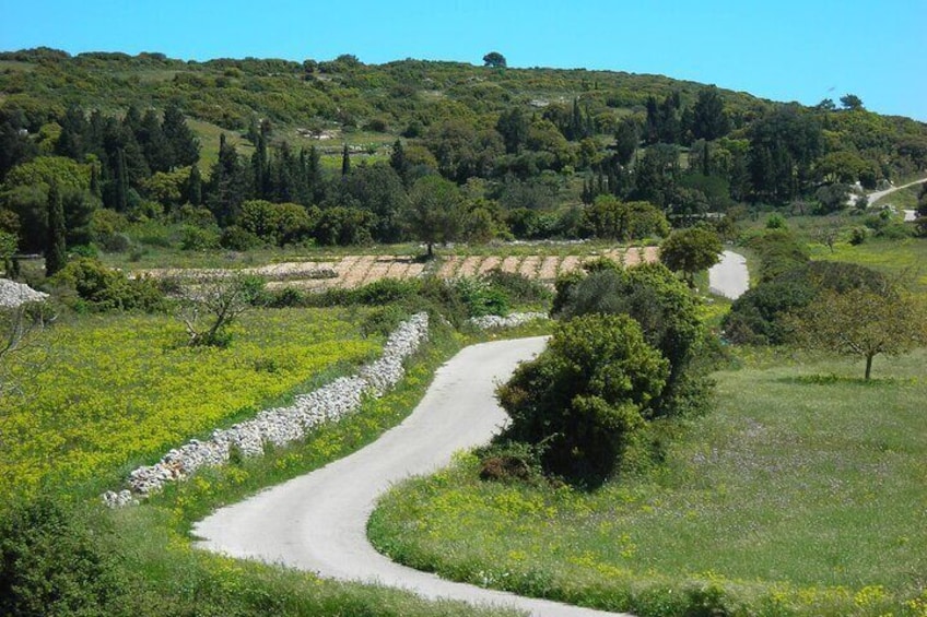 Scenic roads