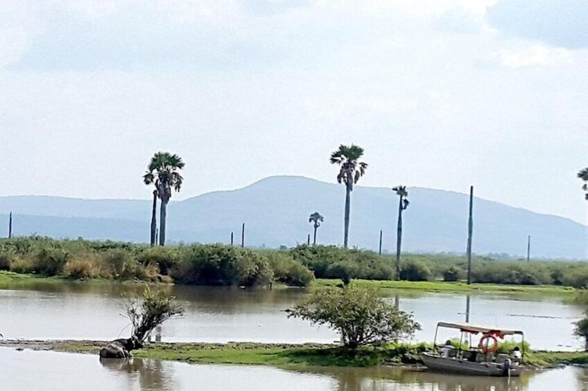 View of Rufiji River 
