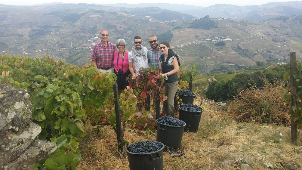 Premium Service-Douro Valley with Lunch,Boat and Tastings