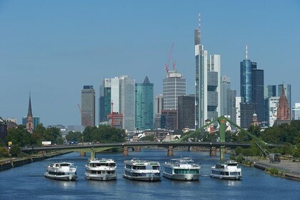 Frankfurt 100-Minute Sightseeing Cruise