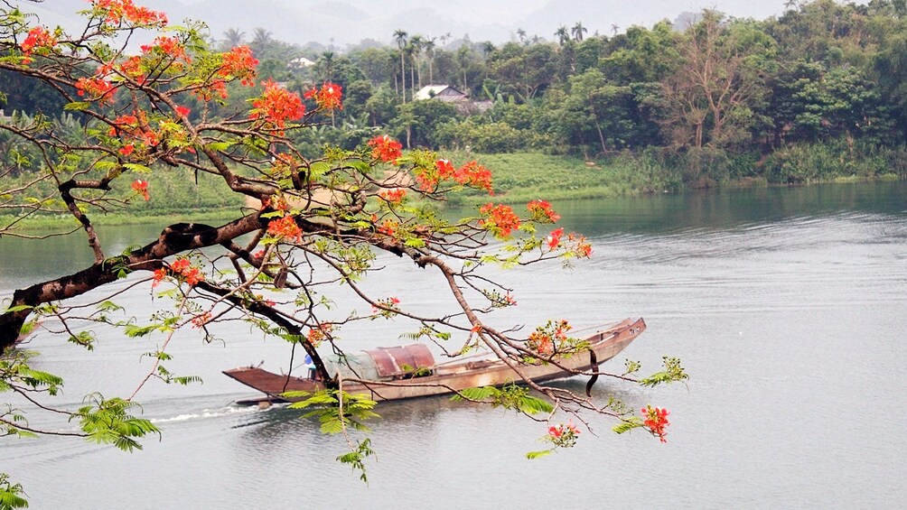 A boat sailing down a river in Hue
