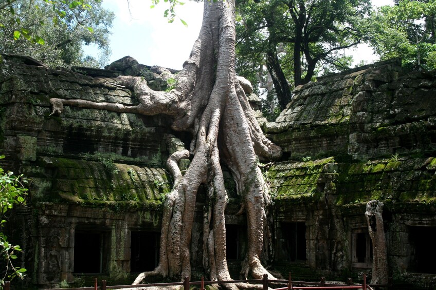 Afternoon Tour of Angkor Wat