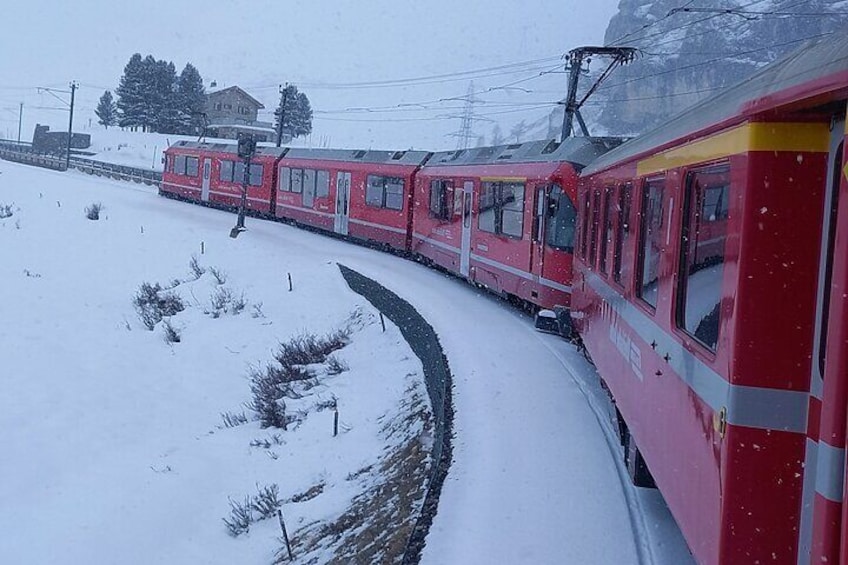 Bernina Express and Swiss Alps 1 day tour, pick up near your hotel.