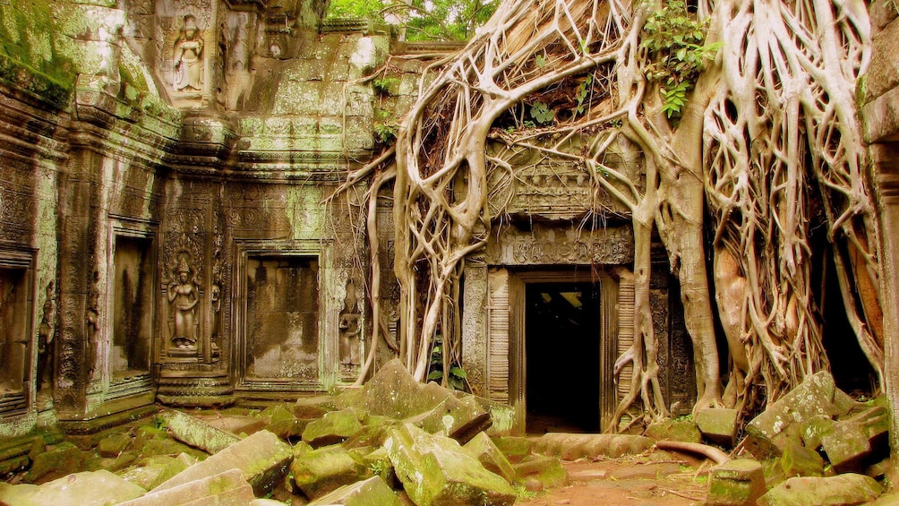 Overgrown temple near Siem Reap