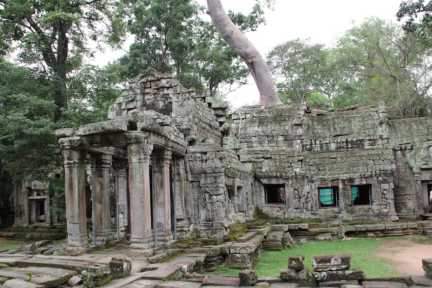 Half-Day Angkor Thom City & Ta Prohm Temple Tour