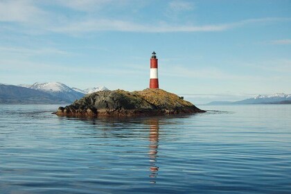 Beagle Channel Navigation - Sea Lions Island