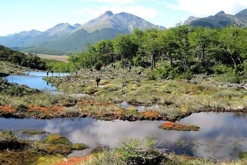 Tierra del Fuego Nat Park