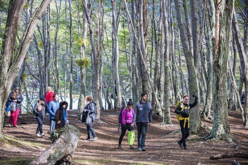 Tierra del Fuego National Park - USHUAIA (Shared tour)