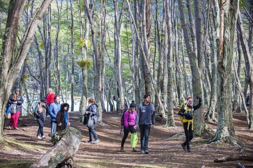 Tierra del Fuego National Park - USHUAIA (Shared tour)