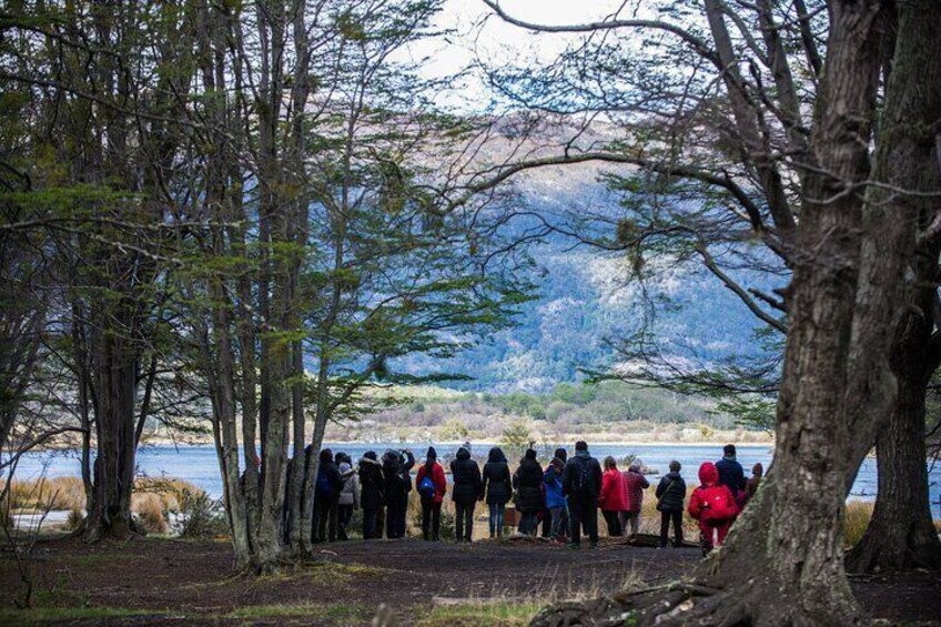 Tierra del Fuego National Park - USHUAIA (Shared tour)