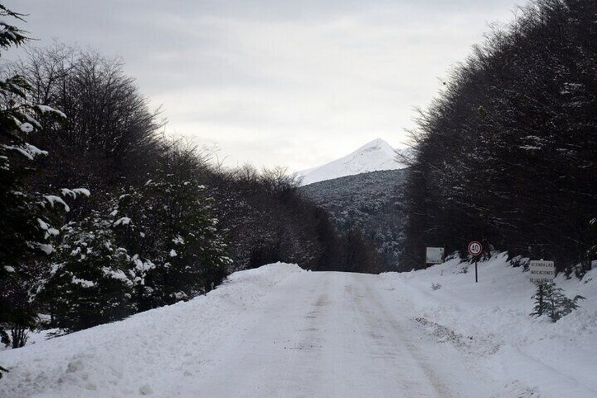 Tierra del Fuego National Park - USHUAIA (Shared tour)