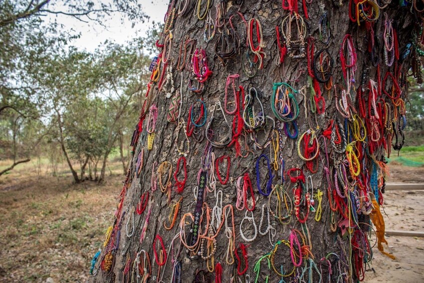 Half-Day Wat Phnom & Choeung Ek Killing Fields Tour