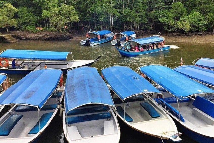 Boats parking @Mangrove Park
