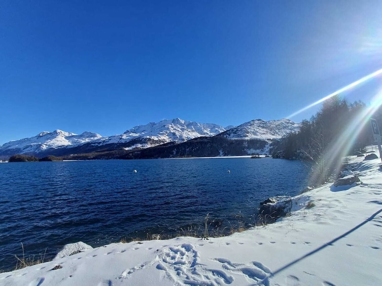 Bernina Train and Swiss Alps, full day tour. Departure from Milan