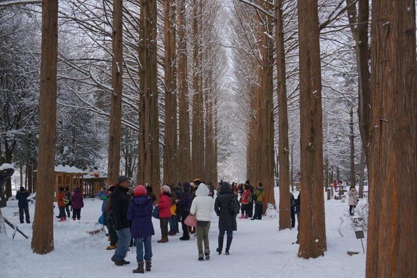 View of inside Nami Island