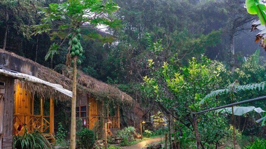 3-Day Trekking Adventure of Sapa from Hanoi - Stay Ta Van Village
