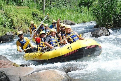 5km White Water Rafting and Jungle Tour From Phuket