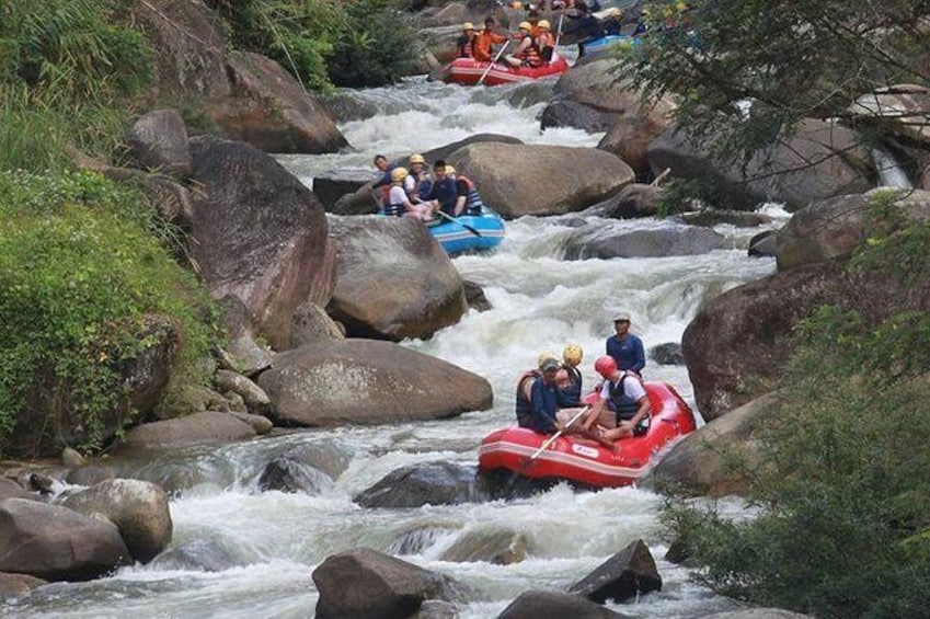 Rafting 5 km, ATV 30 Mins, Fly Fox and Jungle Tour From Phuket