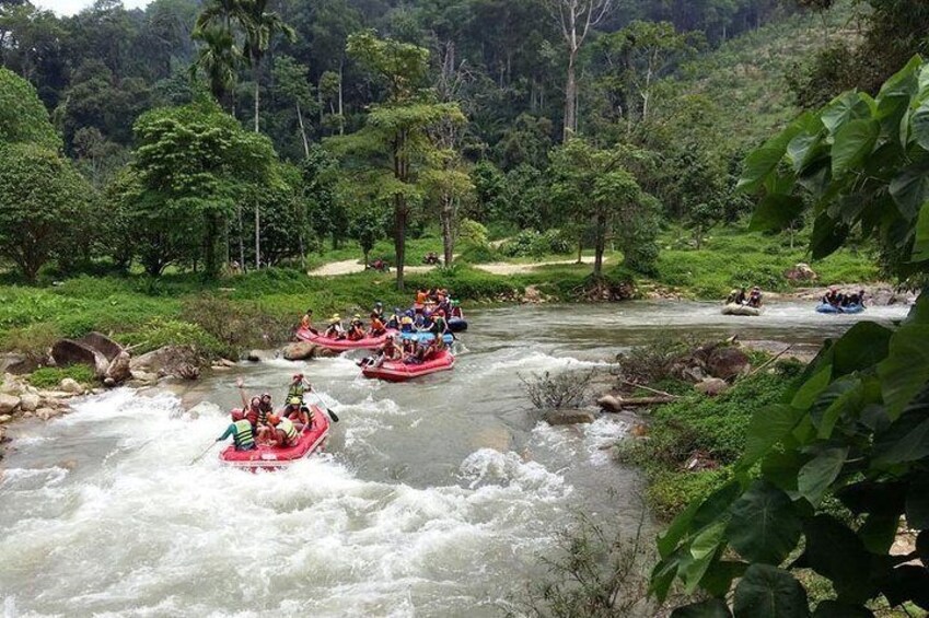 9 km White Water Rafting and Jungle Tour From Phuket