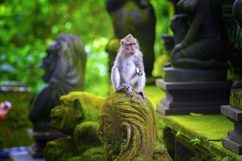 Ubud: Waterfall, Rice Terraces & Monkey Forest Private Tour