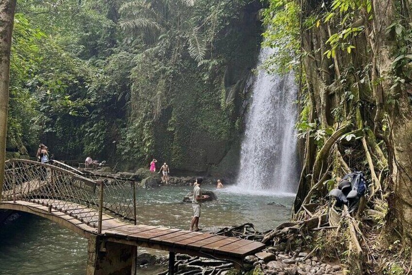 Ubud: Waterfall, Rice Terraces & Monkey Forest Private Tour