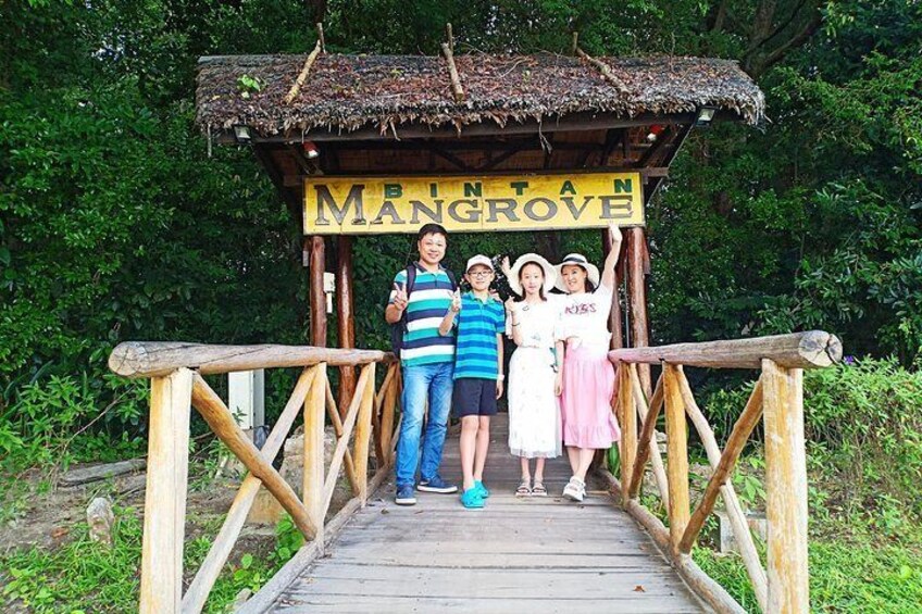 Bintan Mangrove Discovery Tour