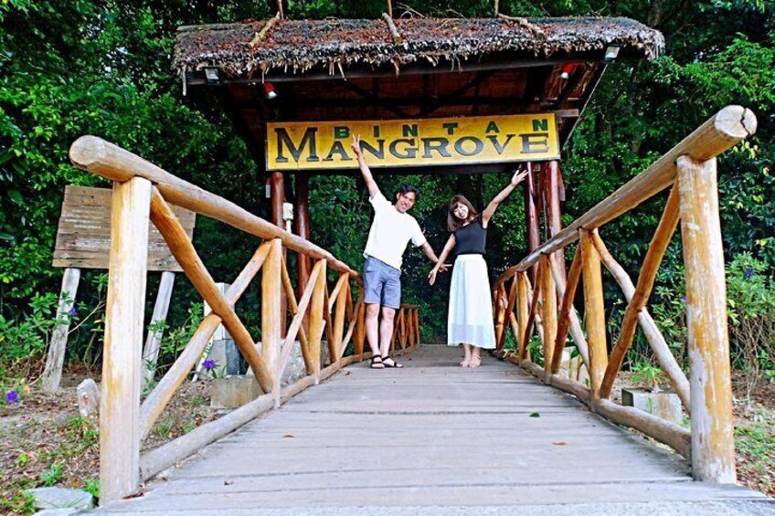 Bintan Mangrove Discovery Tour