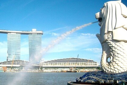 City Tour+Gardens by the Bay(CloudForest&Super Tree)Transfers