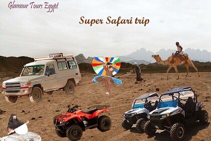 Super Safari ( Jeep - Quad- Buggy car-folklore-BBQ dinner)