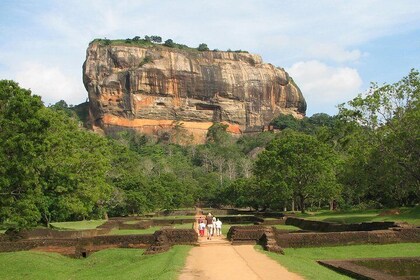 Templos de la cueva Sigiriya Rock y Dambulla desde Negombo (excursión de un...