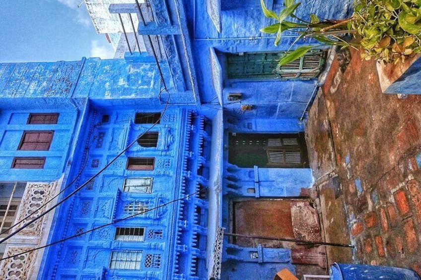 blue house Jodhpur