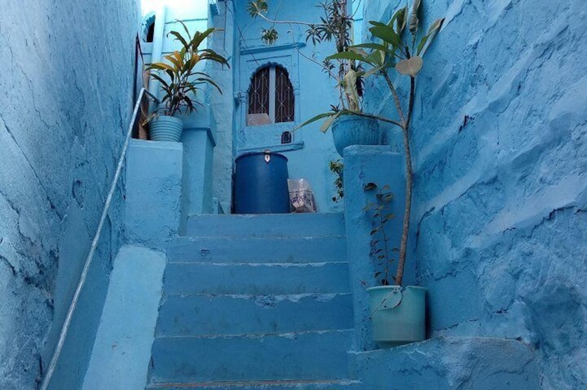 jodhpur blue City