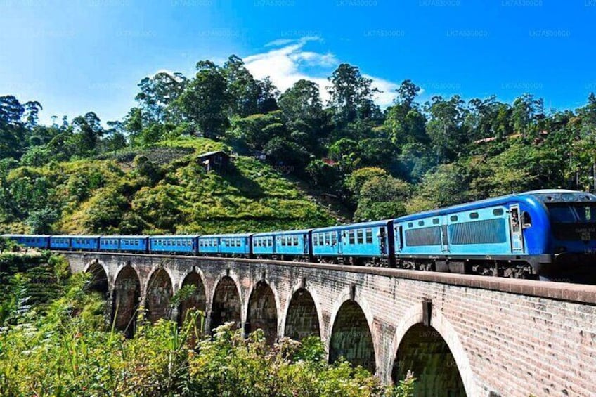 Ella Day Trip with Train Ride & Tea Plantation - All Inclusive