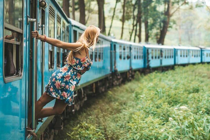 Ella Day Trip with Train Ride & Tea Plantation - All Inclusive