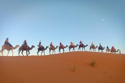 Marrakech à Fès via Merzouga Desert 3-Days Sahara Tour